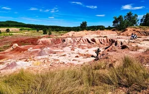 Close-up: Tourism Farm Project in Quang Nam Under Investigation - image 2