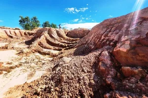 Close-up: Tourism Farm Project in Quang Nam Under Investigation - image 0