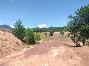 Close-up: Tourism Farm Project in Quang Nam Under Investigation - image 4