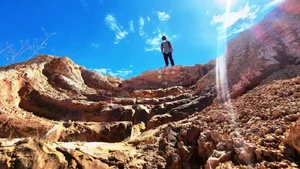 Close-up: Tourism Farm Project in Quang Nam Under Investigation - image 7