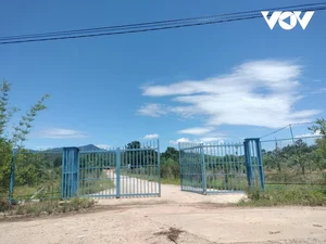 Close-up: Tourism Farm Project in Quang Nam Under Investigation - image 5