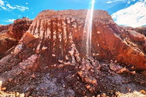 Close-up: Tourism Farm Project in Quang Nam Under Investigation - image 3
