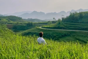 Escape to Sam Tang Lake: The Ultimate Weekend Relaxation Spot Near Hanoi - image 4