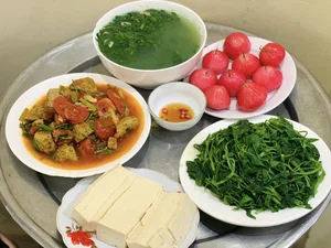 Living the Best Single Life: Cooking Gourmet Meals with Mom on a $4 Daily Budget - image 5