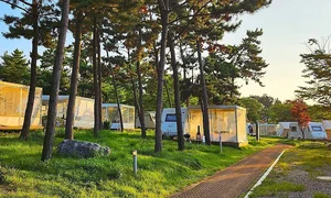 10 Must-Visit Spots in Incheon: Beyond the International Airport - image 8