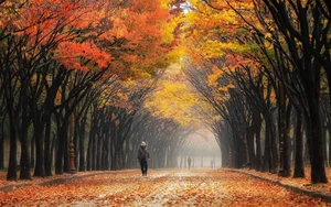 10 Must-Visit Spots in Incheon: Beyond the International Airport - image 1