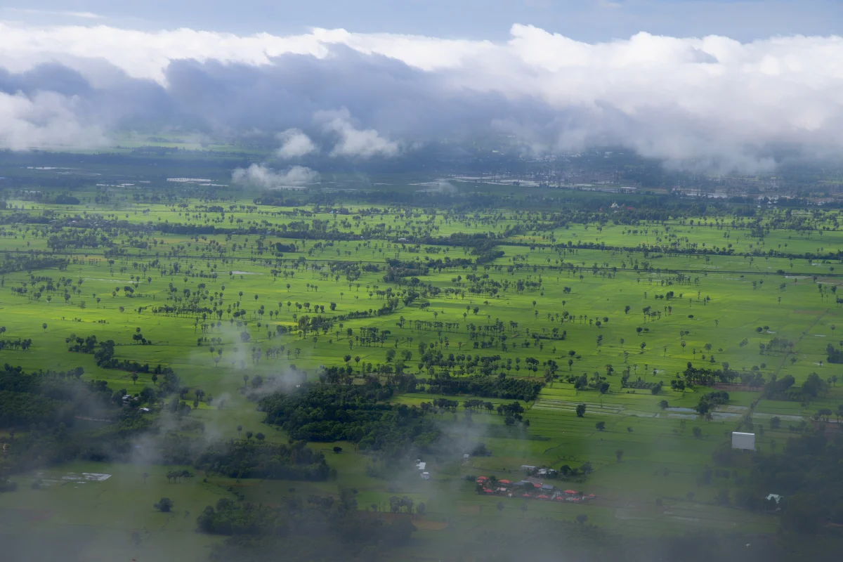 The Ethereal Beauty of the Mekong Delta in the Morning Mist