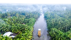 The Ethereal Beauty of the Mekong Delta in the Morning Mist - image 8