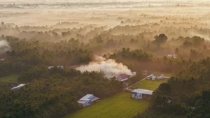 The Ethereal Beauty of the Mekong Delta in the Morning Mist - image 1