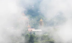 The Ethereal Beauty of the Mekong Delta in the Morning Mist - image 3