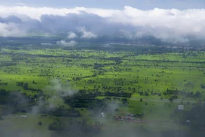 The Ethereal Beauty of the Mekong Delta in the Morning Mist - image 0