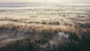 The Ethereal Beauty of the Mekong Delta in the Morning Mist - image 7