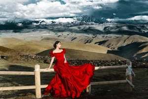 YiTuYu Art Language Vol.4896: Capturing the Elegant Essence of Model Xia Xia in Artistic Photography - image 11