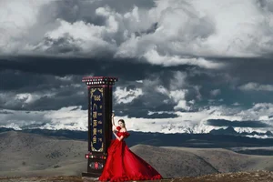 YiTuYu Art Language Vol.4896: Capturing the Elegant Essence of Model Xia Xia in Artistic Photography - image 13
