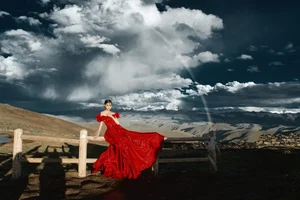 YiTuYu Art Language Vol.4896: Capturing the Elegant Essence of Model Xia Xia in Artistic Photography - image 12