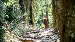 Ultimate Travel Guide to Yen Tu Mountain: Exploring the Spiritual Buddhist Capital of Vietnam with Ancient Pagodas and Scenic Hiking Trails - image 6