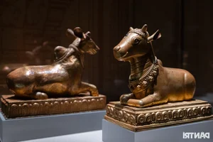 Hanoi Residents Witness Rare 7th Century Bronze Durga Statue - image 7