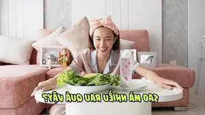 Inside the Luxury Lifestyle and Assets of Beauty Queen Thùy Tiên - image 3