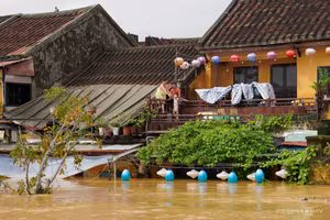 Hoi An Flood Season: Heritage Colors and Simple Daily Life - image 2