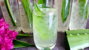 6 Refreshing and Digestive-Friendly Foods to Stay Healthy During Hot Weather - image 1