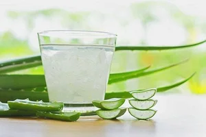 6 Refreshing and Digestive-Friendly Foods to Stay Healthy During Hot Weather - image 12
