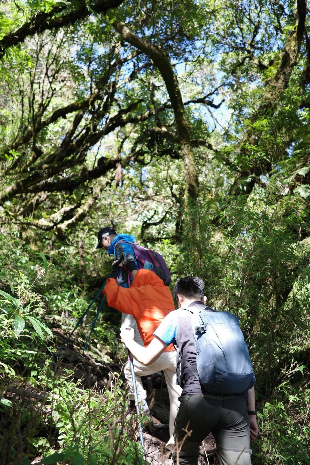 Conquering Ta Chi Nhu Summit: An Emotional Journey Above the Clouds