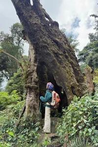Conquering Ta Chi Nhu Summit: An Emotional Journey Above the Clouds - image 2