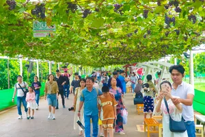 Green Tourism in Saigon: Exploring the Suoi Tien Grape Farm and Eco-Garden During Tet - image 4
