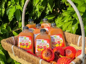 Green Tourism in Saigon: Exploring the Suoi Tien Grape Farm and Eco-Garden During Tet - image 7