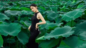 YiTuYu Art Language Vol.7663 Yi: Capturing Natural Beauty and Modern Lifestyle Photography - image 0