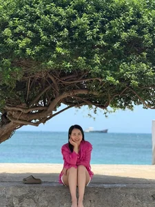 Phu Quy Island Travel Guide: Should You Choose Solo Travel or Tours? - image 5