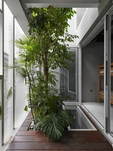Minimalist Sanctuary: Elevating Modern Living with Floor-to-Ceiling Glass Walls and Lush Indoor Greenery - image 5