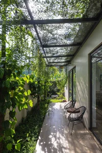 Minimalist Sanctuary: Elevating Modern Living with Floor-to-Ceiling Glass Walls and Lush Indoor Greenery - image 18