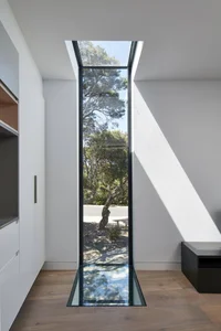 Minimalist Sanctuary: Elevating Modern Living with Floor-to-Ceiling Glass Walls and Lush Indoor Greenery - image 7