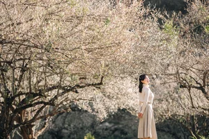 The Ultimate Moc Chau Travel Guide 2025: Best Things to Do, Places to Stay, and Local Food in Vietnam’s Highland Paradise - image 9