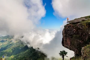 The Ultimate Moc Chau Travel Guide 2025: Best Things to Do, Places to Stay, and Local Food in Vietnam’s Highland Paradise - image 5