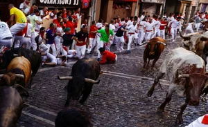The Thrilling San Fermin Festival: Thousands Gather for the Running of the Bulls - image 9
