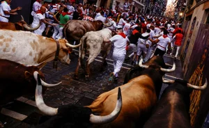 The Thrilling San Fermin Festival: Thousands Gather for the Running of the Bulls - image 3