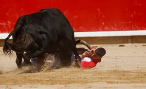 The Thrilling San Fermin Festival: Thousands Gather for the Running of the Bulls - image 7