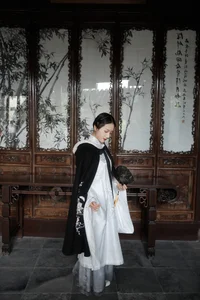 YiTuYu Art Language Vol.4222: The Captivating Style of Xiao Pi Pa Zai Jiang Hu - image 33