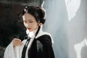 YiTuYu Art Language Vol.4222: The Captivating Style of Xiao Pi Pa Zai Jiang Hu - image 29
