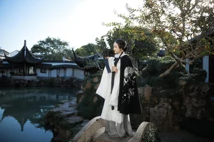 YiTuYu Art Language Vol.4222: The Captivating Style of Xiao Pi Pa Zai Jiang Hu - image 14