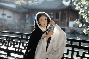 YiTuYu Art Language Vol.4222: The Captivating Style of Xiao Pi Pa Zai Jiang Hu - image 12
