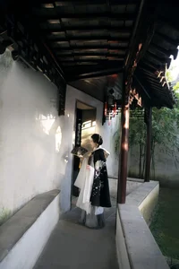 YiTuYu Art Language Vol.4222: The Captivating Style of Xiao Pi Pa Zai Jiang Hu - image 5