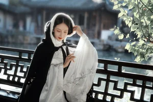 YiTuYu Art Language Vol.4222: The Captivating Style of Xiao Pi Pa Zai Jiang Hu - image 2