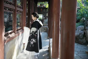 YiTuYu Art Language Vol.4222: The Captivating Style of Xiao Pi Pa Zai Jiang Hu - image 34