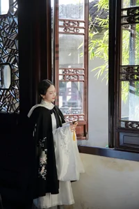 YiTuYu Art Language Vol.4222: The Captivating Style of Xiao Pi Pa Zai Jiang Hu - image 21