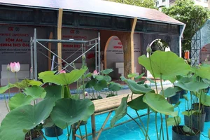 Cultural Showcase: Experiencing the Essence of Hanoi in Ho Chi Minh City - image 10