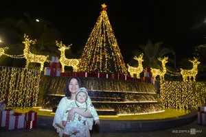 Da Nang Airport Transforms into a Sparkling Road of Light for Christmas - image 7