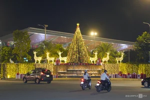 Da Nang Airport Transforms into a Sparkling Road of Light for Christmas - image 4